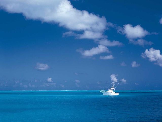 responsive image 33