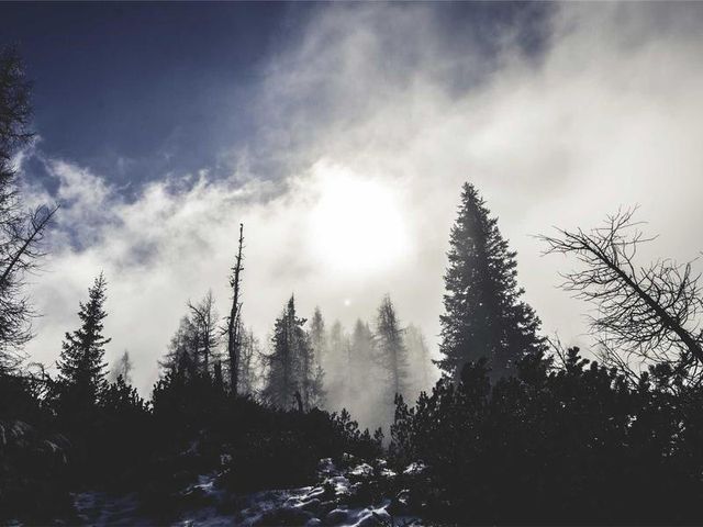 responsive image 38