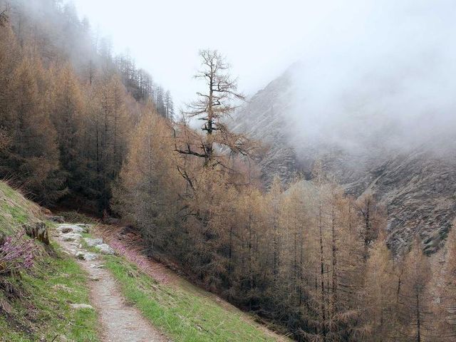 responsive image 73