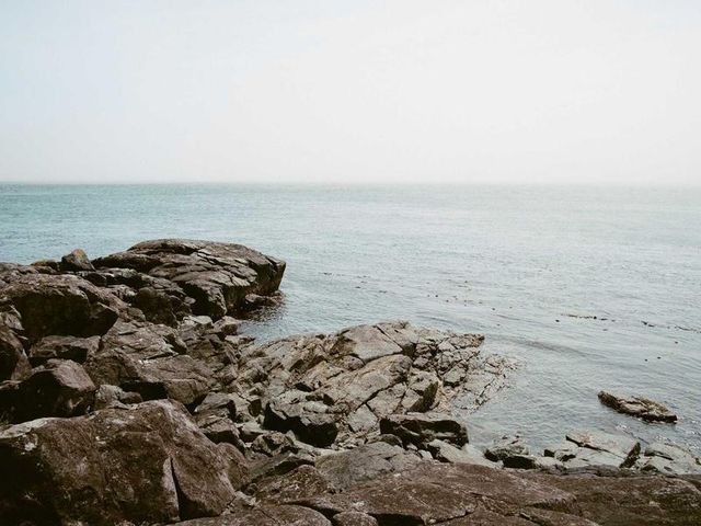 responsive image 80