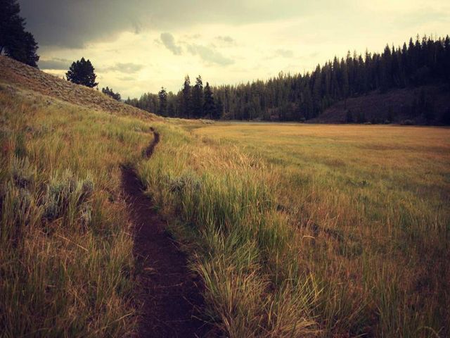 responsive image 91