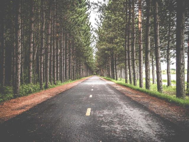 responsive image 105