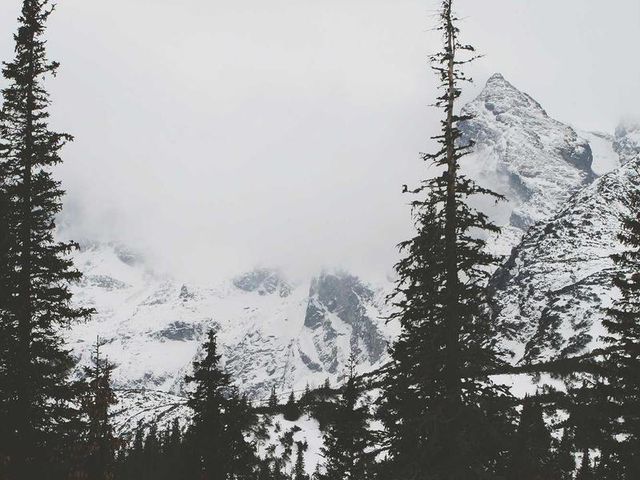 responsive image 136