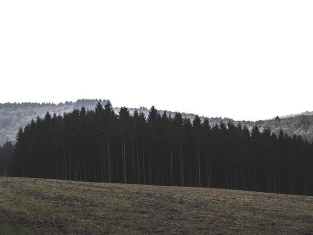 responsive image 176