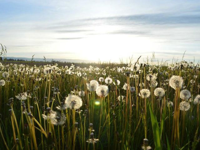 responsive image 181
