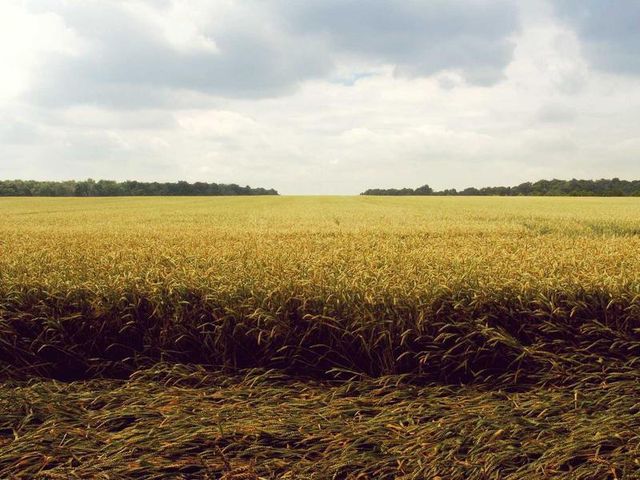 responsive image 186
