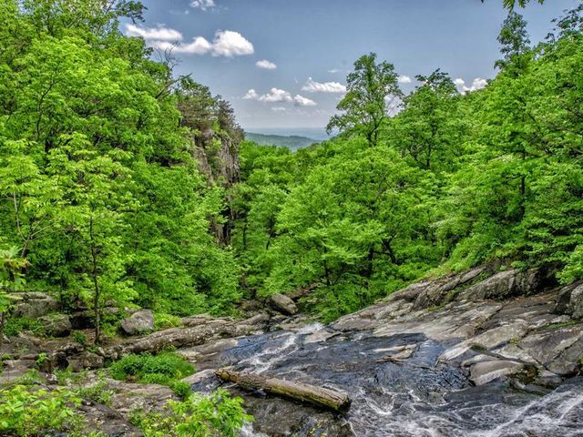 responsive image 216