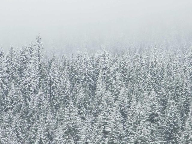 responsive image 278