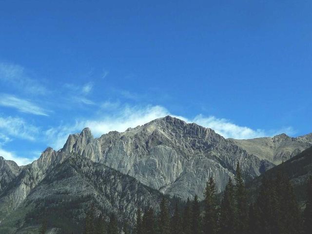 responsive image 281