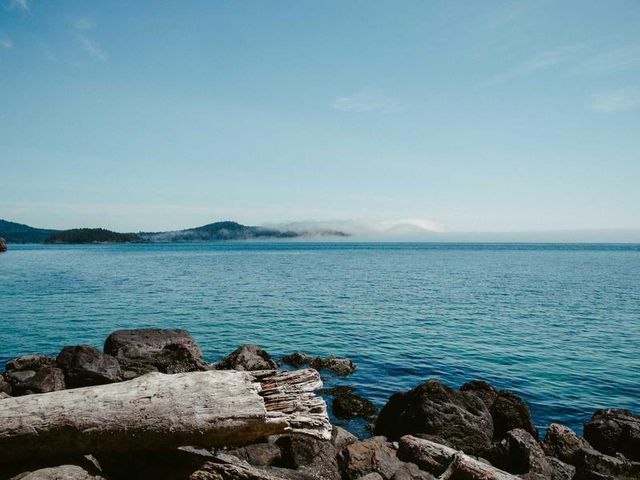 responsive image 305