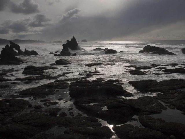 responsive image 306