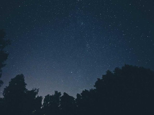 responsive image 313