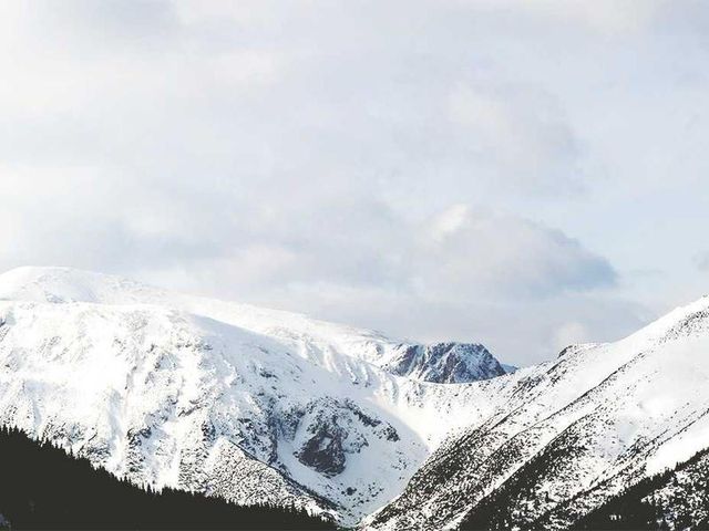 responsive image 338