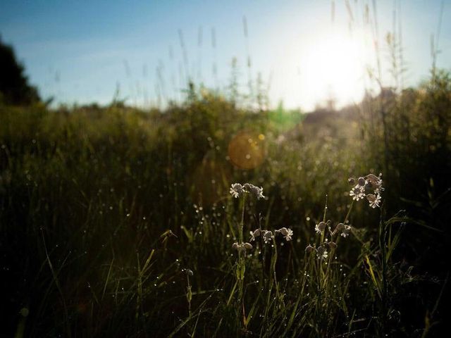 responsive image 363