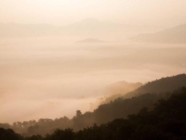 responsive image 477