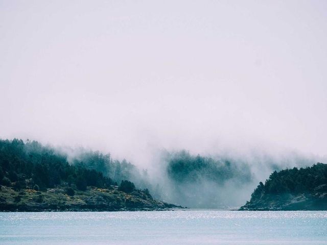 responsive image 481