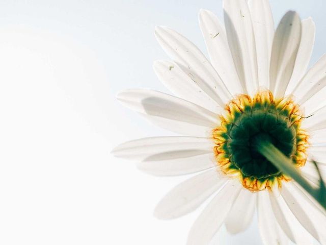responsive image 512