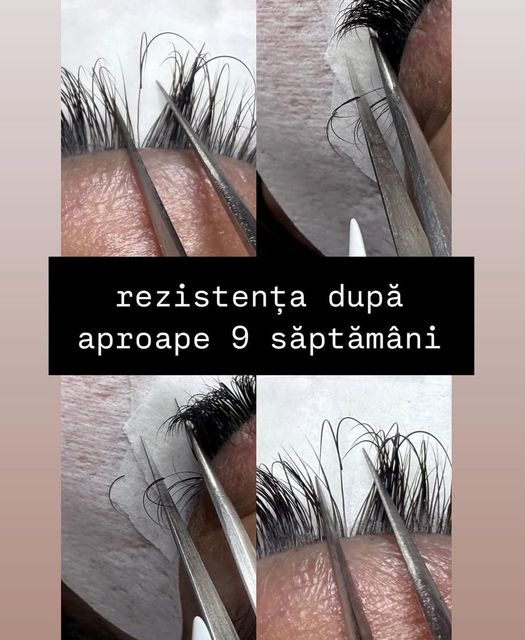responsive image 9