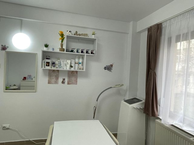 responsive image 4