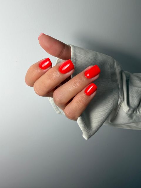 responsive image 5