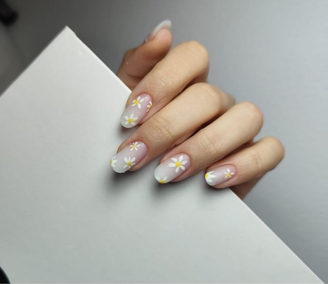 responsive image 24