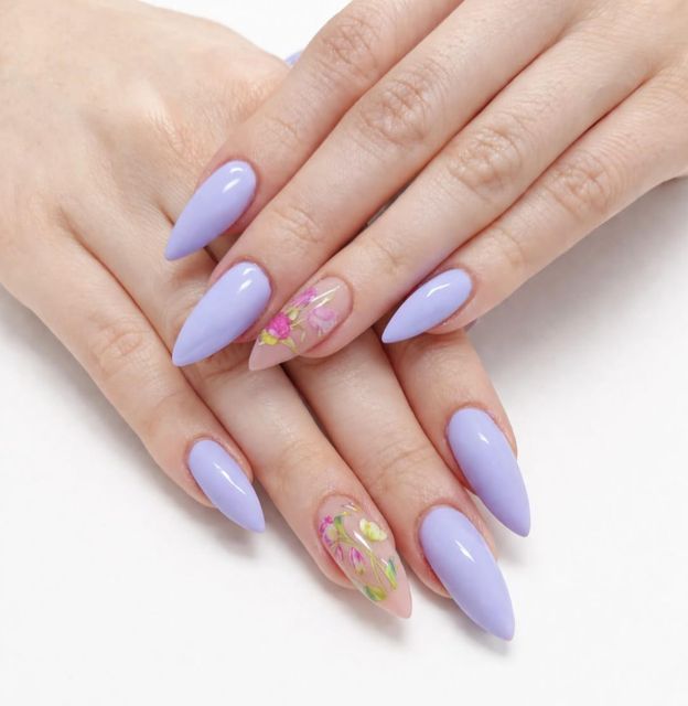 responsive image 33