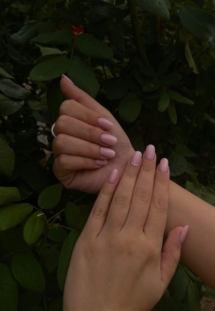 responsive image 26