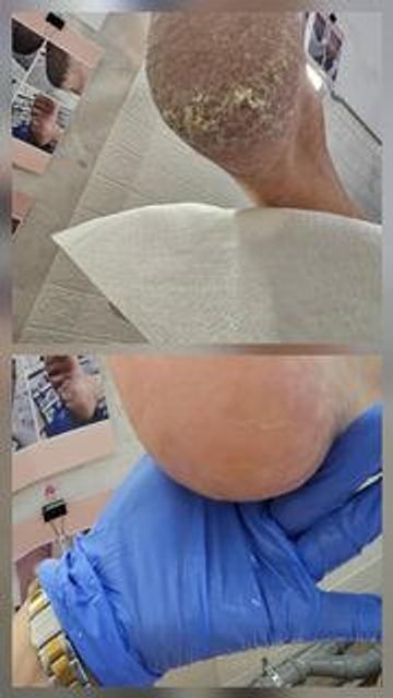 responsive image 259