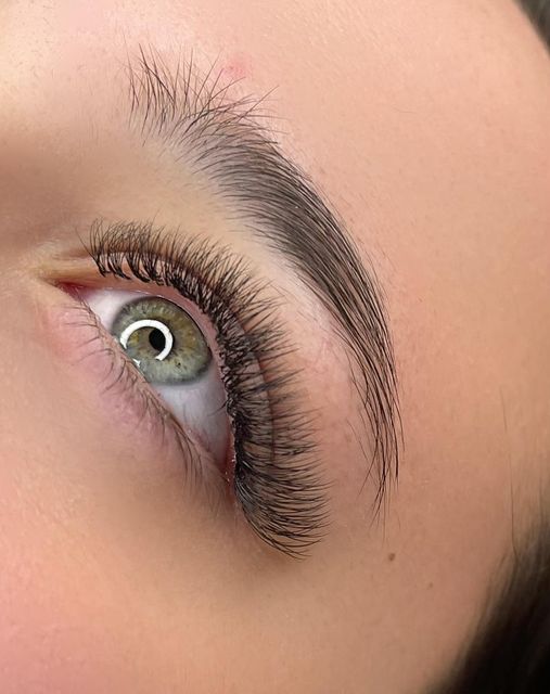 imagine galerie Extensii Neculcea Delia 6