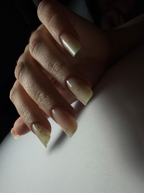 responsive image 4