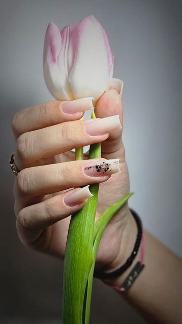 responsive image 76