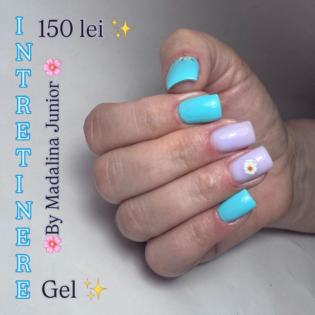 responsive image 33