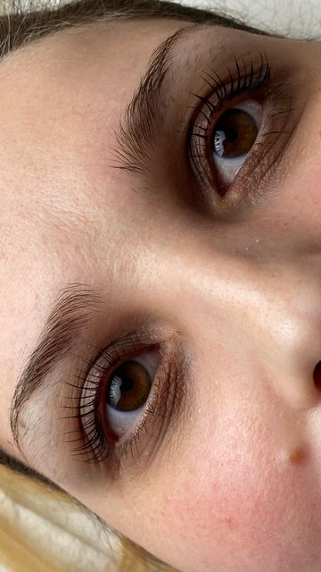 responsive image 48
