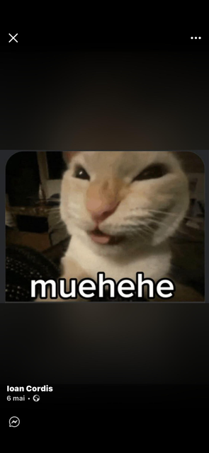 responsive image 0