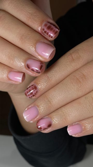 responsive image 13