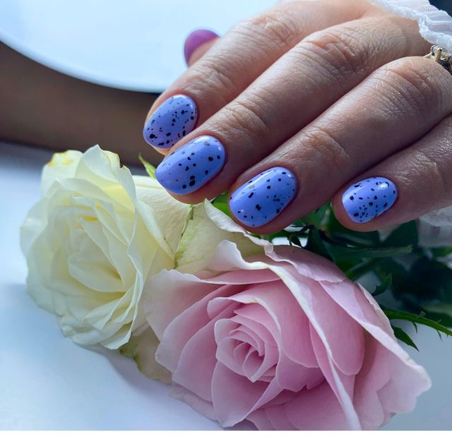 responsive image 24