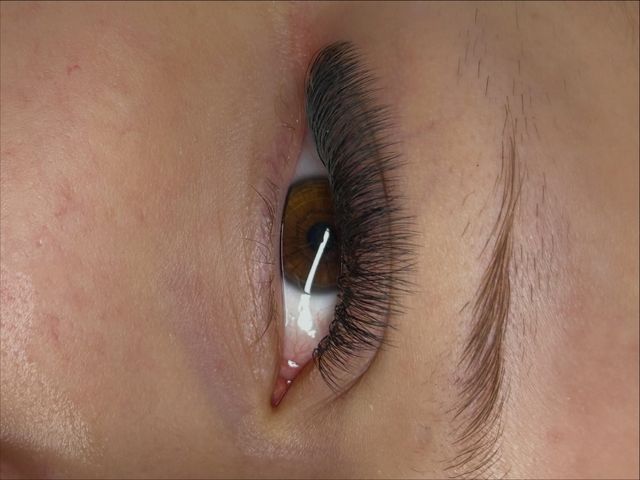 responsive image 4