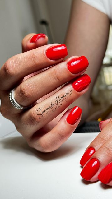 imagine galerie Smaranda Homescu NailTech 2