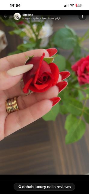 imagine galerie DAHAB LUXURY NAILS & LASHES 5