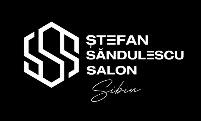 imagine galerie Ștefan Săndulescu Salon #3 1