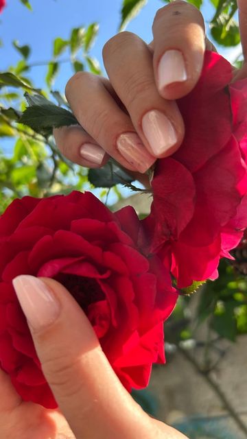 imagine galerie Gina Nails Boutique 3