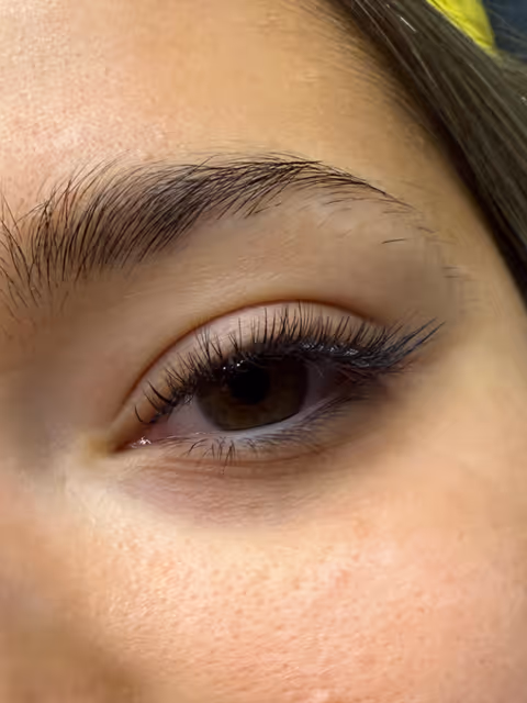 imagine galerie Oana Andon Lashes 5