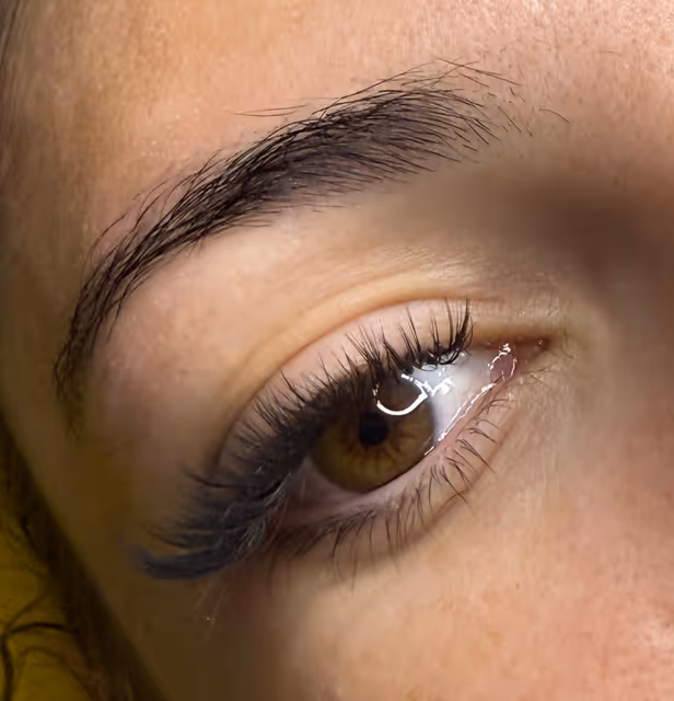imagine galerie Oana Andon Lashes 6