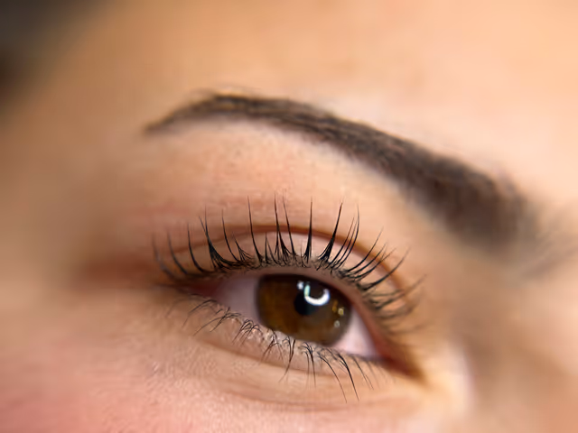 imagine galerie Denisa Antonia Brows 3