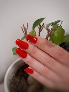 profile-image-23