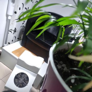profile-image-6