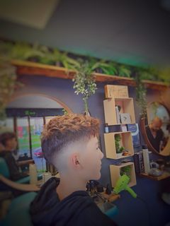 profile-image-11