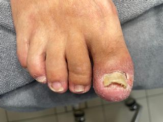 profile-image-8