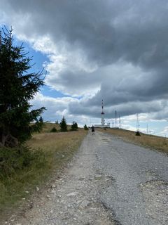 profile-image-5