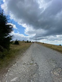 profile-image-8